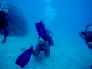 Sous l eau - Tikehau - Copyright : See Otherwise 2012 - 2023