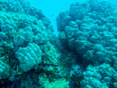 Sous l eau - Tikehau - Copyright : See Otherwise 2012 - 2023