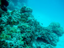 Sous l eau - Tikehau - Copyright : See Otherwise 2012 - 2023