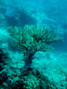 Sous l eau - Tikehau - Copyright : See Otherwise 2012 - 2023