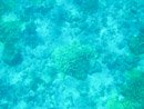 Sous l eau - Tikehau - Copyright : See Otherwise 2012 - 2025