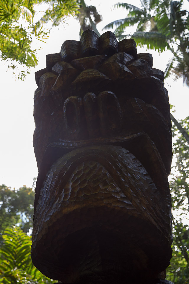 3L9A9965.jpg Tropical Botanical Garden - Copyright : See Otherwise 2012 - 2025