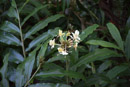 Tropical Botanical Garden - Copyright : See Otherwise 2012 - 2025