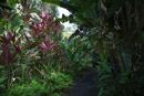 Tropical Botanical Garden - Copyright : See Otherwise 2012 - 2023