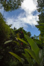 Tropical Botanical Garden - Copyright : See Otherwise 2012 - 2023