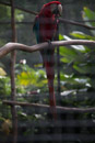 Tropical Botanical Garden - Copyright : See Otherwise 2012 - 2023
