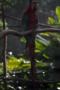 Tropical Botanical Garden - Copyright : See Otherwise 2012 - 2025