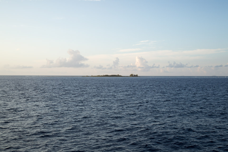 3L9A1811.jpg Tuamotu - Fakarava - Copyright : See Otherwise 2012 - 2025