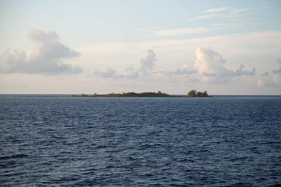 3L9A1812.jpg Tuamotu - Fakarava - Copyright : See Otherwise 2012 - 2025