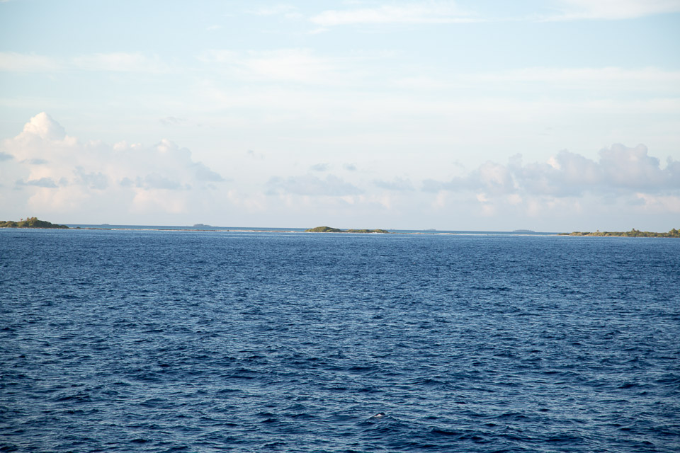 3L9A1814.jpg Tuamotu - Fakarava - Copyright : See Otherwise 2012 - 2025
