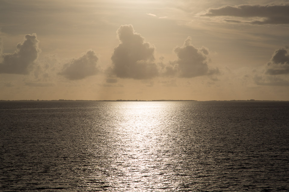 3L9A1840.jpg Tuamotu - Fakarava - Copyright : See Otherwise 2012 - 2025