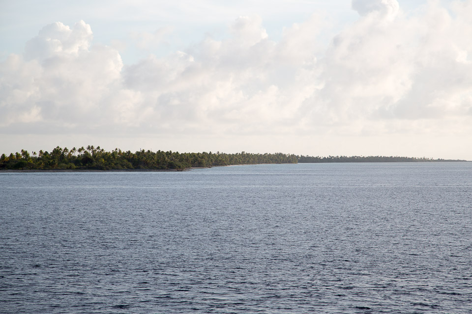 3L9A1847.jpg Tuamotu - Fakarava - Copyright : See Otherwise 2012 - 2025