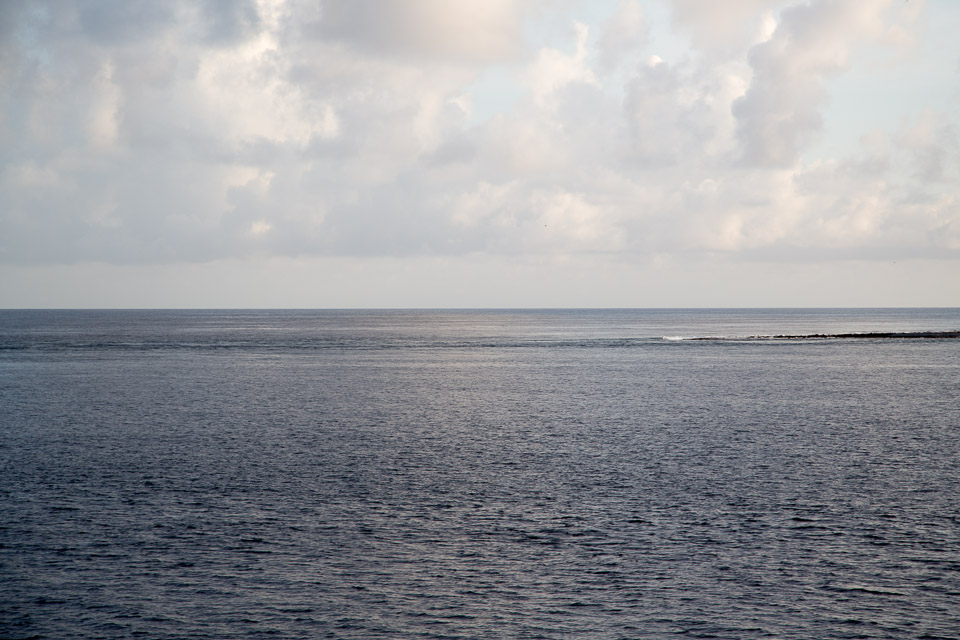 3L9A1851.jpg Tuamotu - Fakarava - Copyright : See Otherwise 2012 - 2025