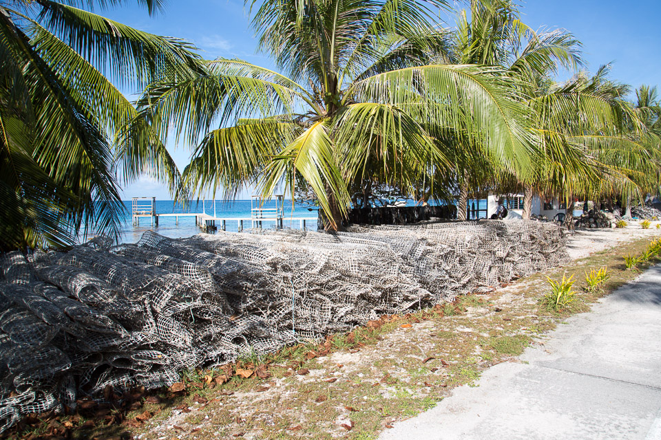 3L9A1888.jpg Tuamotu - Fakarava - Copyright : See Otherwise 2012 - 2025