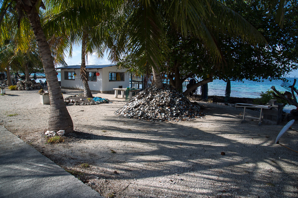 3L9A1889.jpg Tuamotu - Fakarava - Copyright : See Otherwise 2012 - 2025