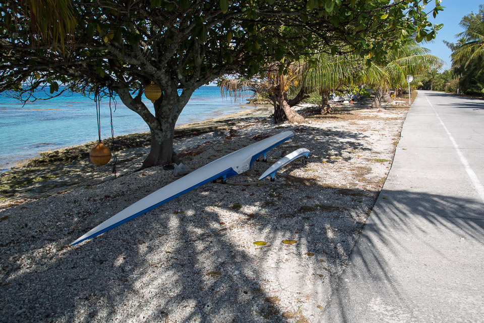 3L9A1892.jpg Tuamotu - Fakarava - Copyright : See Otherwise 2012 - 2025