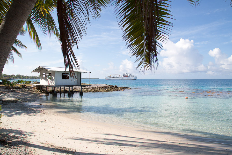 3L9A1894.jpg Tuamotu - Fakarava - Copyright : See Otherwise 2012 - 2025