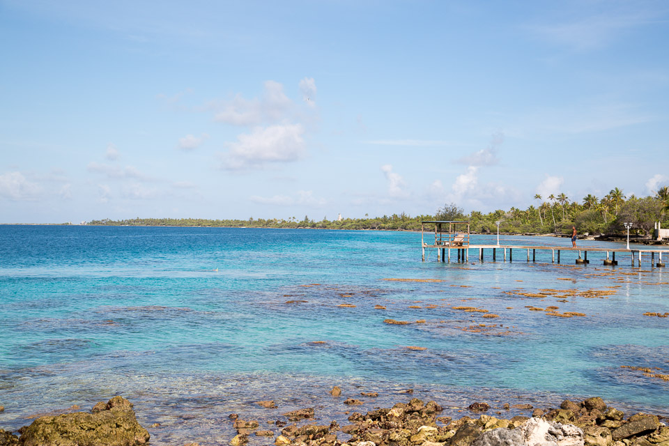 3L9A1902.jpg Tuamotu - Fakarava - Copyright : See Otherwise 2012 - 2025
