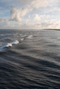 3L9A1834.jpg [Polynesie]Tuamotu - Fakarava - Copyright : See Otherwise 2012 - 2022
