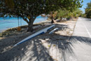 3L9A1892.jpg Tuamotu - Fakarava - Copyright : See Otherwise 2012 - 2023