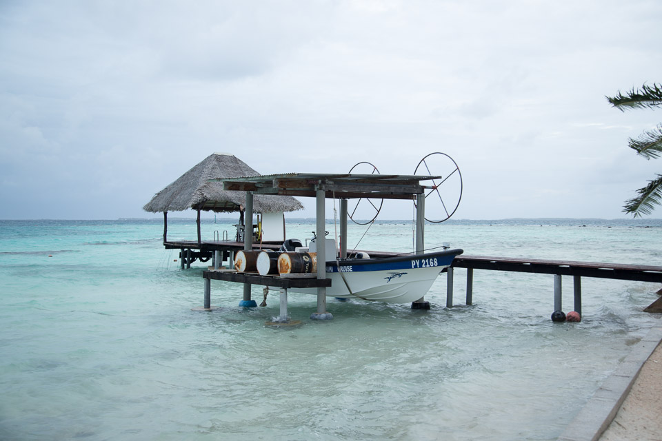3L9A9435.jpg Tuamotu - Manihi - Copyright : See Otherwise 2012 - 2025