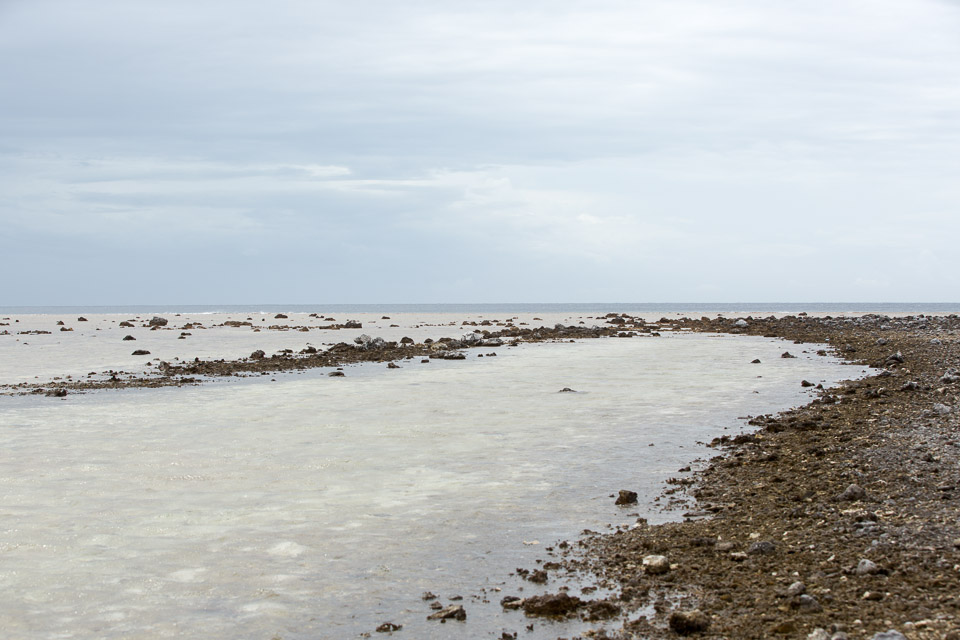 3L9A9459.jpg Tuamotu - Manihi - Copyright : See Otherwise 2012 - 2025