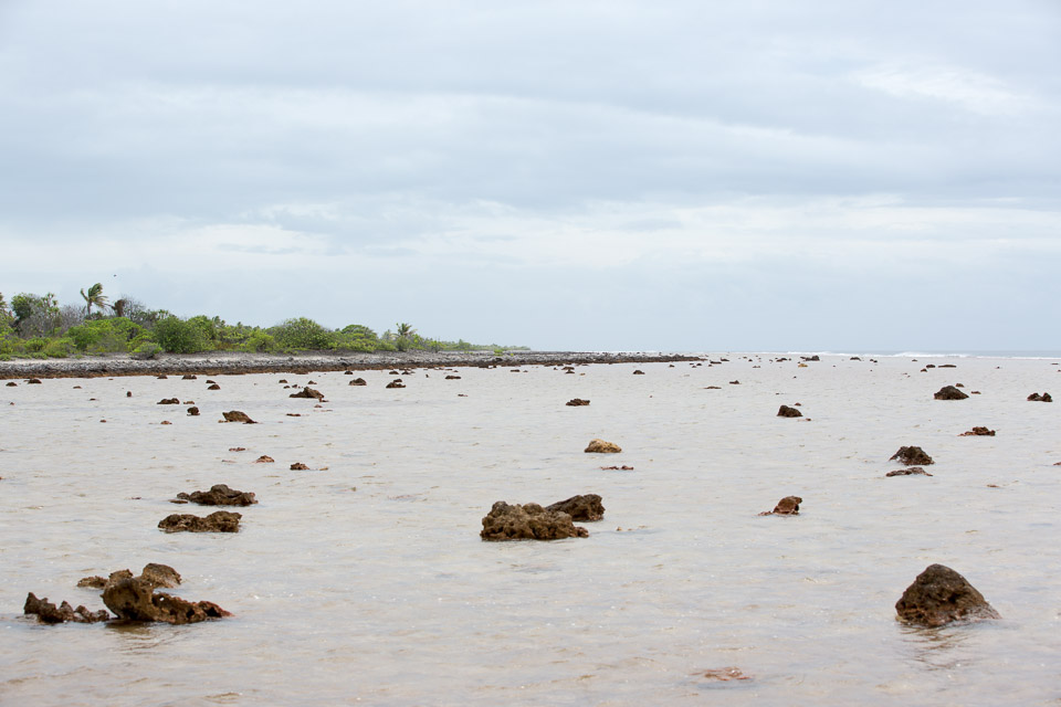 3L9A9524.jpg Tuamotu - Manihi - Copyright : See Otherwise 2012 - 2025
