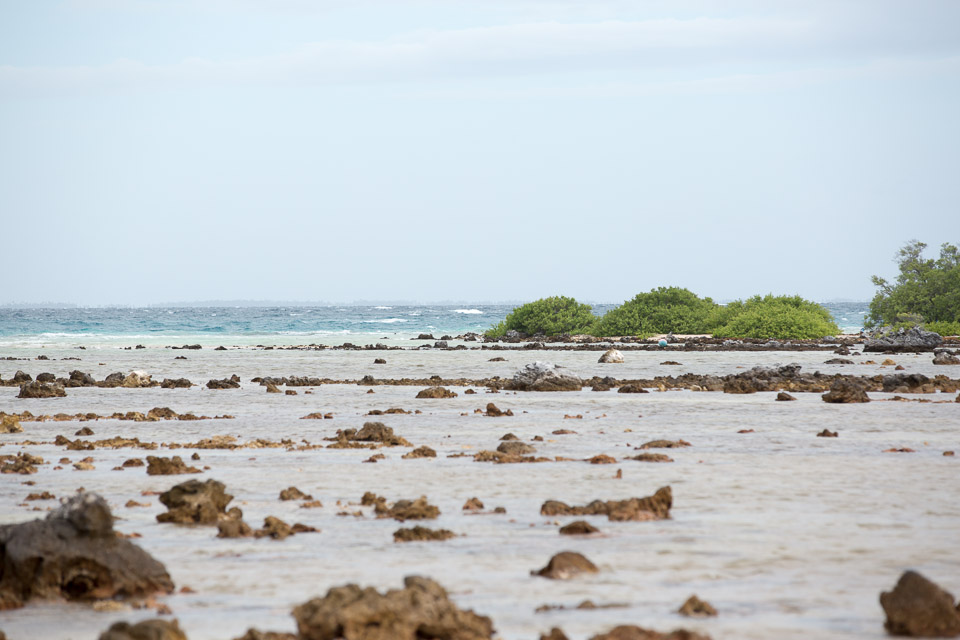 3L9A9526.jpg Tuamotu - Manihi - Copyright : See Otherwise 2012 - 2025