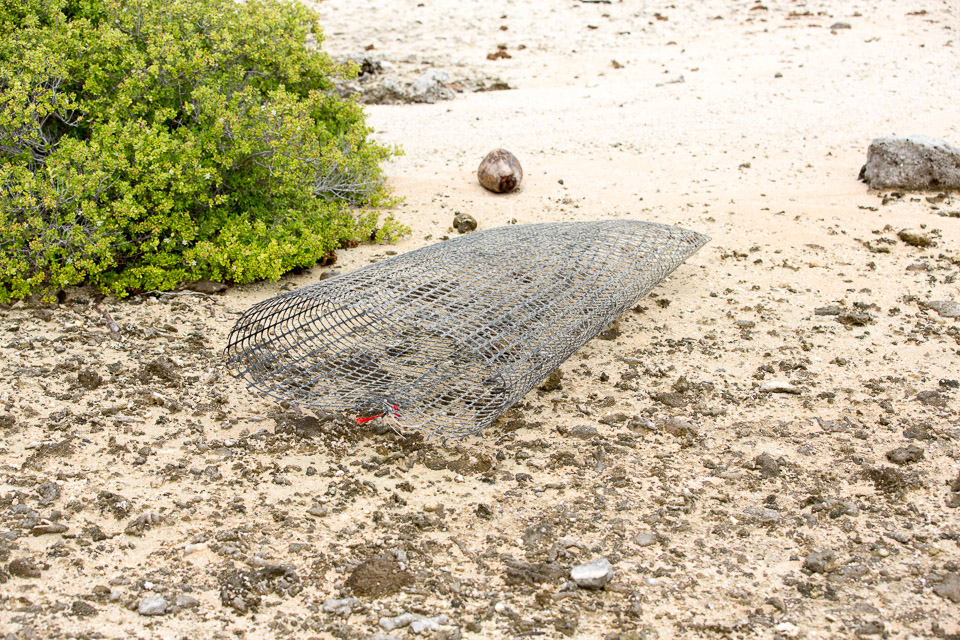 3L9A9539.jpg Tuamotu - Manihi - Copyright : See Otherwise 2012 - 2025
