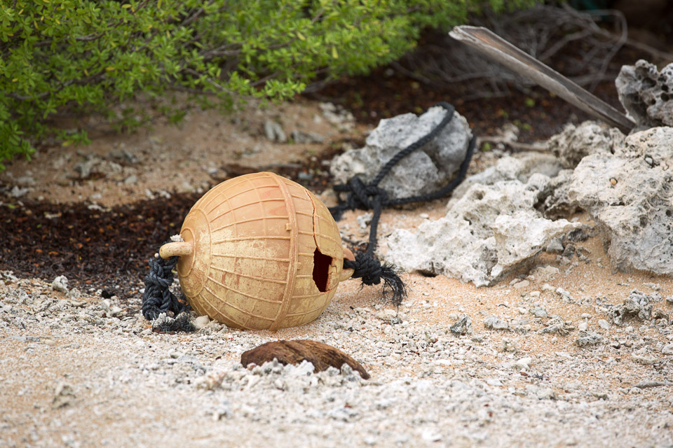 3L9A9547.jpg Tuamotu - Manihi - Copyright : See Otherwise 2012 - 2025