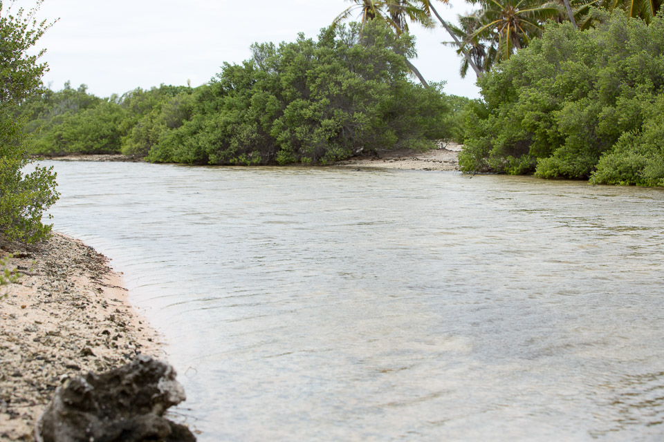 3L9A9550.jpg Tuamotu - Manihi - Copyright : See Otherwise 2012 - 2025
