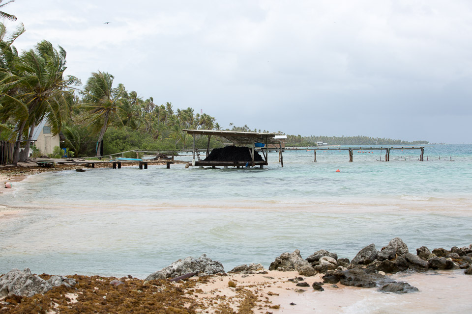 3L9A9581.jpg Tuamotu - Manihi - Copyright : See Otherwise 2012 - 2025