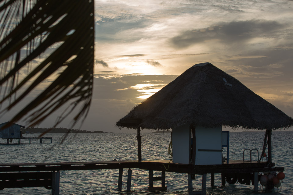 3L9A9691.jpg Tuamotu - Manihi - Copyright : See Otherwise 2012 - 2025