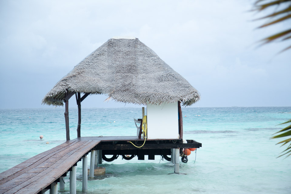 3L9A9440.jpg Tuamotu - Manihi - Copyright : See Otherwise 2012 - 2025