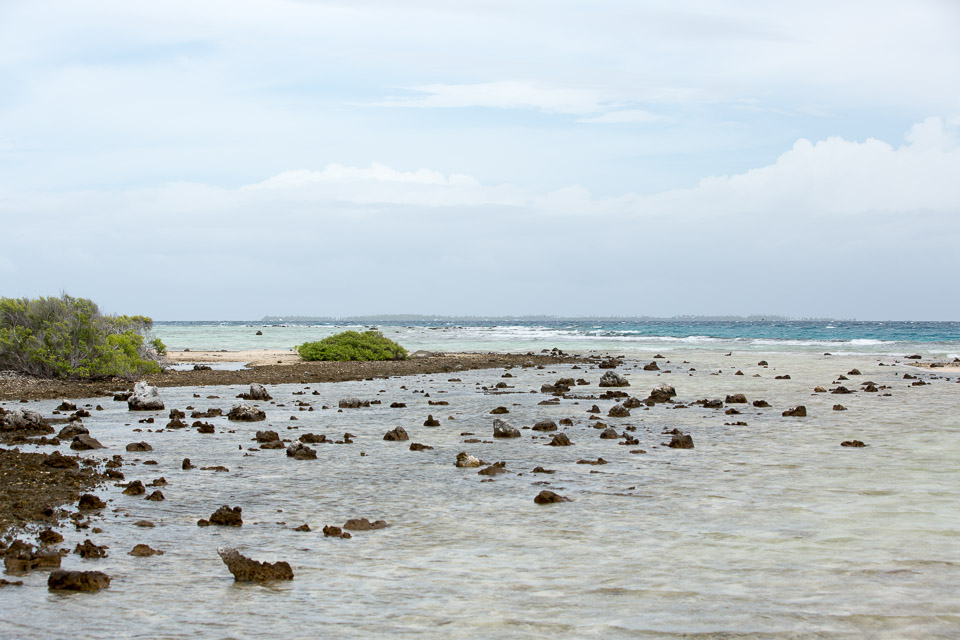 3L9A9457.jpg Tuamotu - Manihi - Copyright : See Otherwise 2012 - 2025
