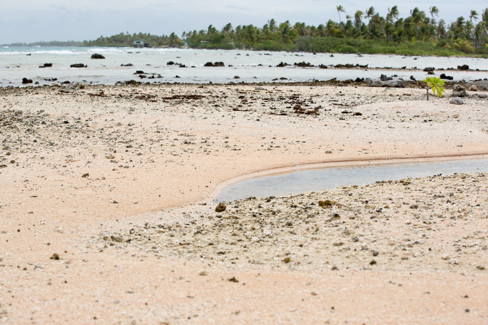 3L9A9541.jpg Tuamotu - Manihi - Copyright : See Otherwise 2012 - 2025