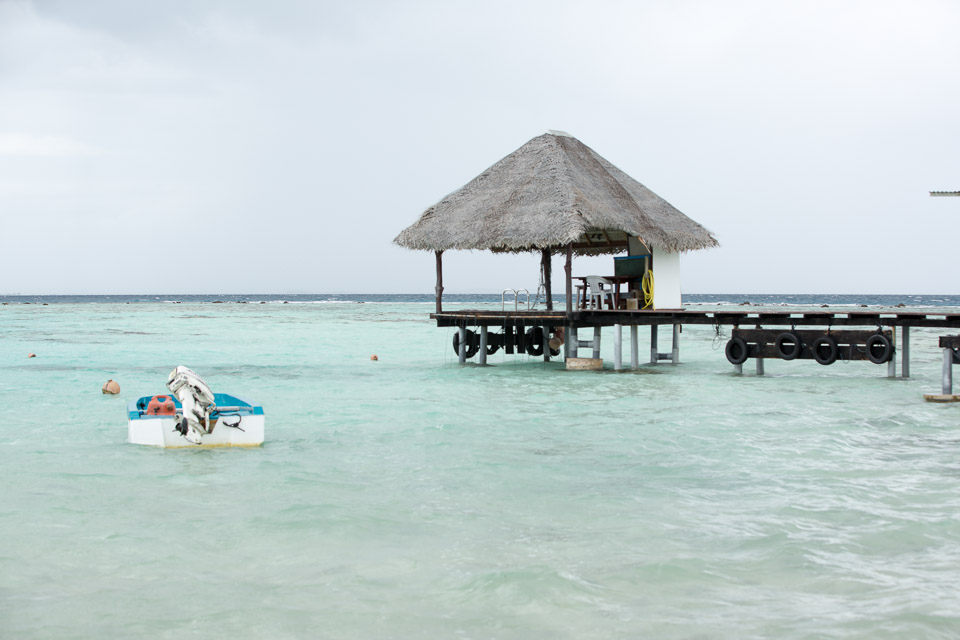 3L9A9591.jpg Tuamotu - Manihi - Copyright : See Otherwise 2012 - 2025