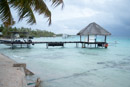 Tuamotu - Manihi - Copyright : See Otherwise 2012 - 2026