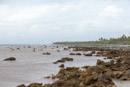 Tuamotu - Manihi - Copyright : See Otherwise 2012 - 2023