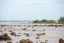 Tuamotu - Manihi - Copyright : See Otherwise 2012 - 2023