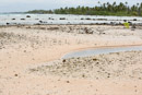 Tuamotu - Manihi - Copyright : See Otherwise 2012 - 2023