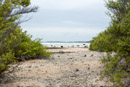 Tuamotu - Manihi - Copyright : See Otherwise 2012 - 2023