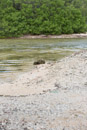 Tuamotu - Manihi - Copyright : See Otherwise 2012 - 2023