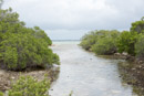 Tuamotu - Manihi - Copyright : See Otherwise 2012 - 2023