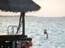 Tuamotu - Manihi - Copyright : See Otherwise 2012 - 2023