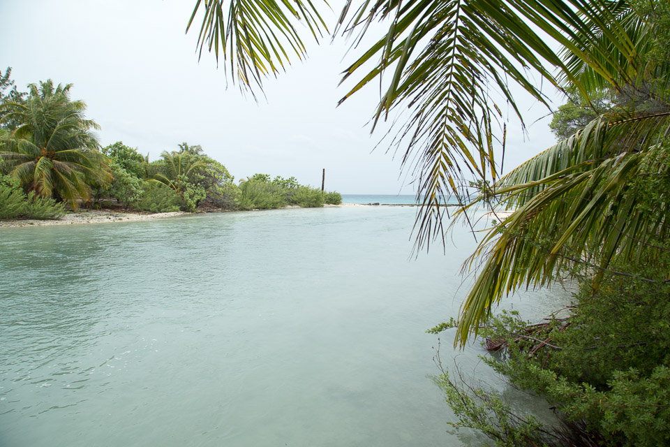 3L9A9414.jpg Tuamotu - Rangiroa - Copyright : See Otherwise 2012 - 2025