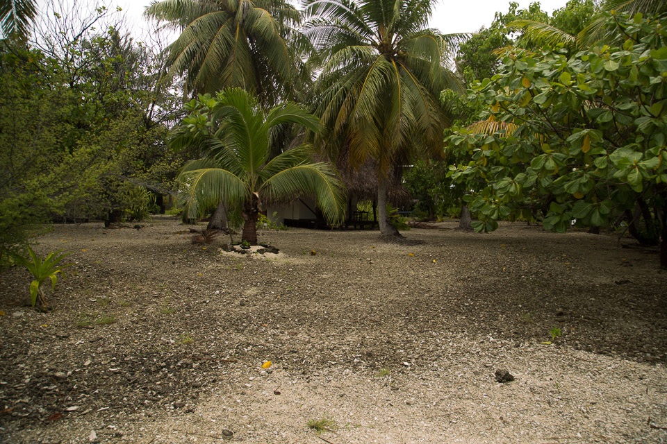 3L9A9431.jpg Tuamotu - Rangiroa - Copyright : See Otherwise 2012 - 2025