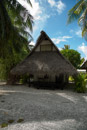 3L9A9387.jpg [Polynesie]Tuamotu - Rangiroa - Copyright : See Otherwise 2012 - 2022