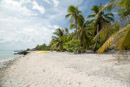 Tuamotu - Rangiroa - Copyright : See Otherwise 2012 - 2023