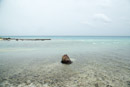 3L9A9417.jpg [Polynesie]Tuamotu - Rangiroa - Copyright : See Otherwise 2012 - 2022